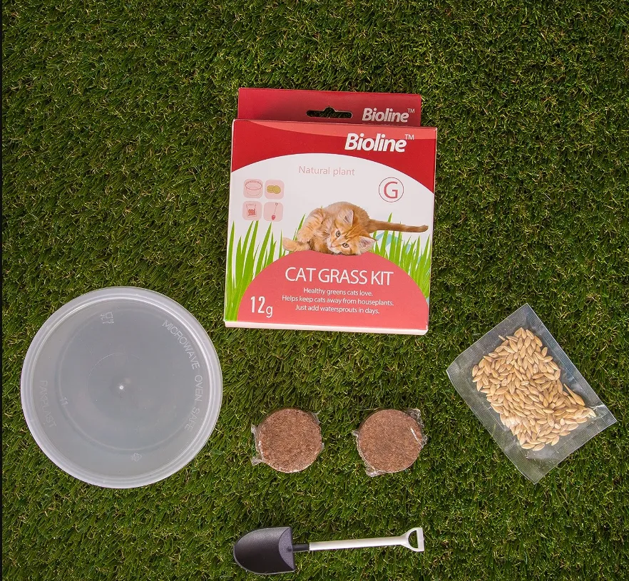 catgrass kit.webp