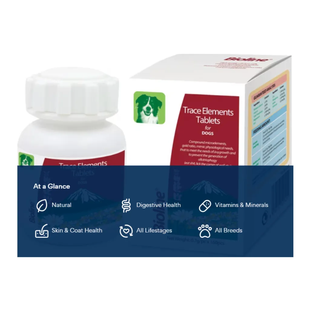 Tablets Supplement.webp