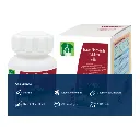 Tablets Supplement.webp