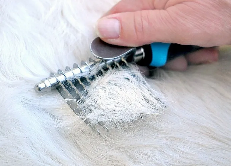 Single-breasted metal comb for dogs2.webp