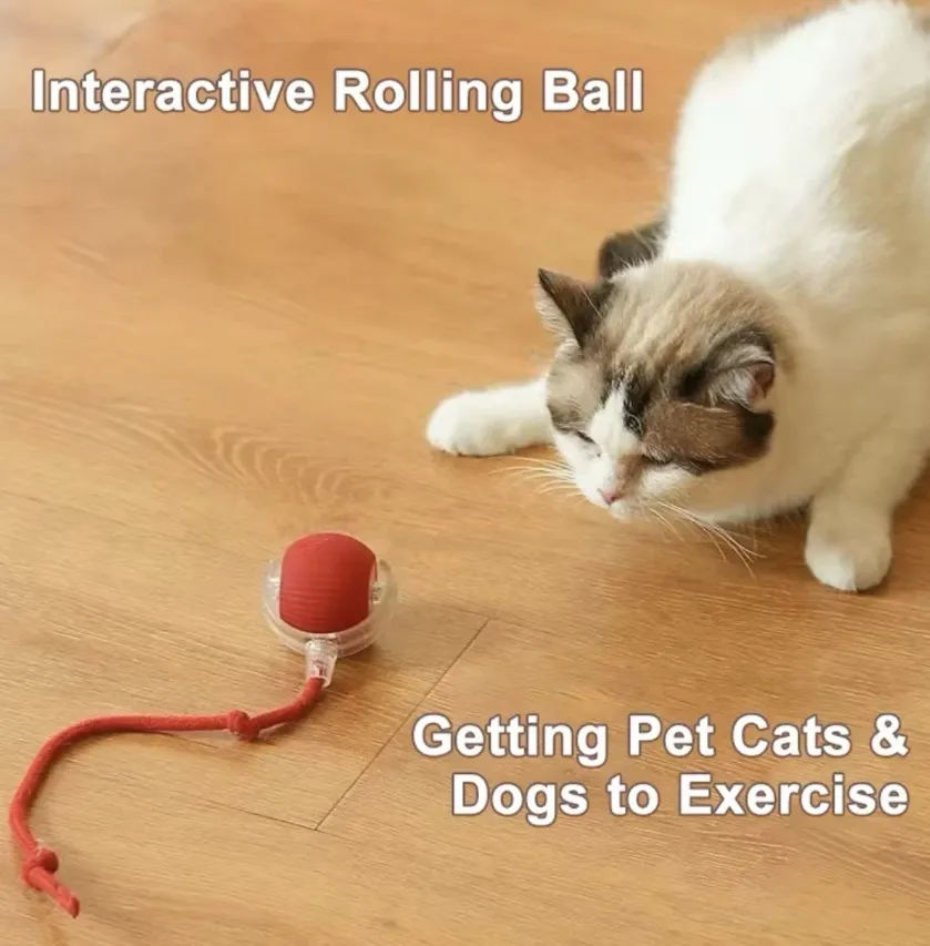 The cat toy ball is charged through USB 1.webp