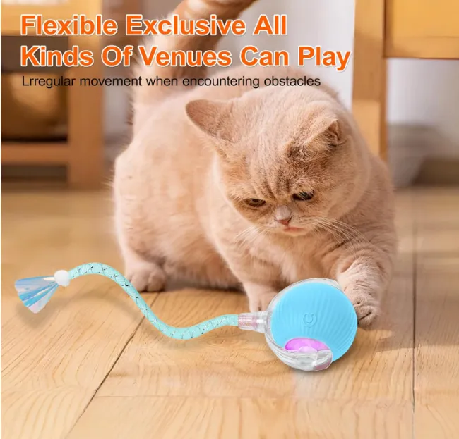 The cat toy ball is charged through USB4.webp
