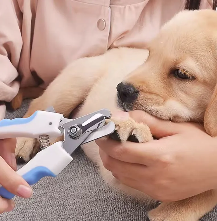 Stainless Steel Dog Cat Pet Nail Toe Claw Clippers Cutters Grooming Tool3.webp