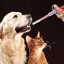 Dog& Cat Medicine Feeder4.webp