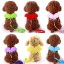 Adjustable Pet Harness & Leash Set with Angel Wings8.webp