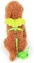 Adjustable Pet Harness & Leash Set with Angel Wings6.webp