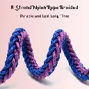 dog safety leash and collar4.webp