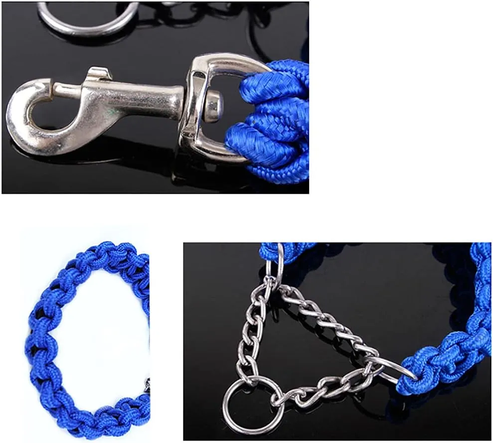 dog safety leash and collar6.webp