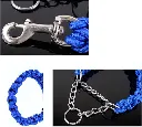 dog safety leash and collar6.webp