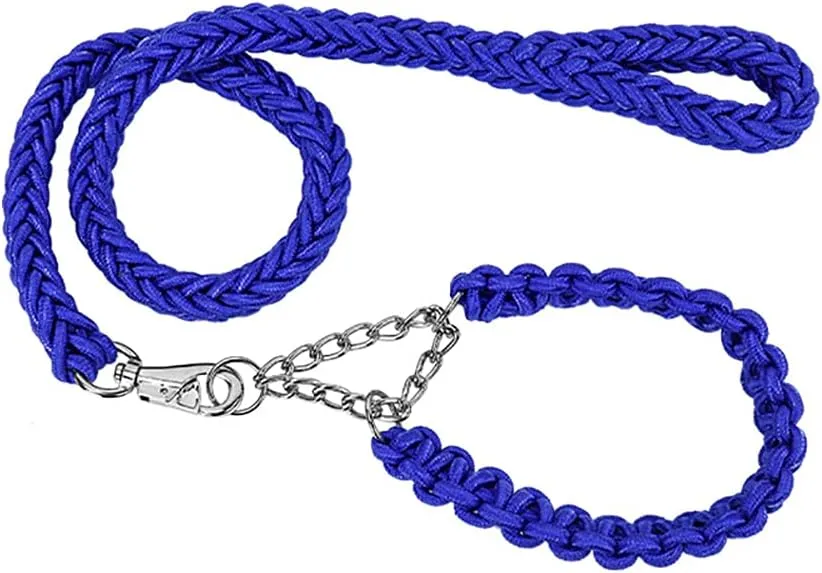 dog safety leash and collar5.webp