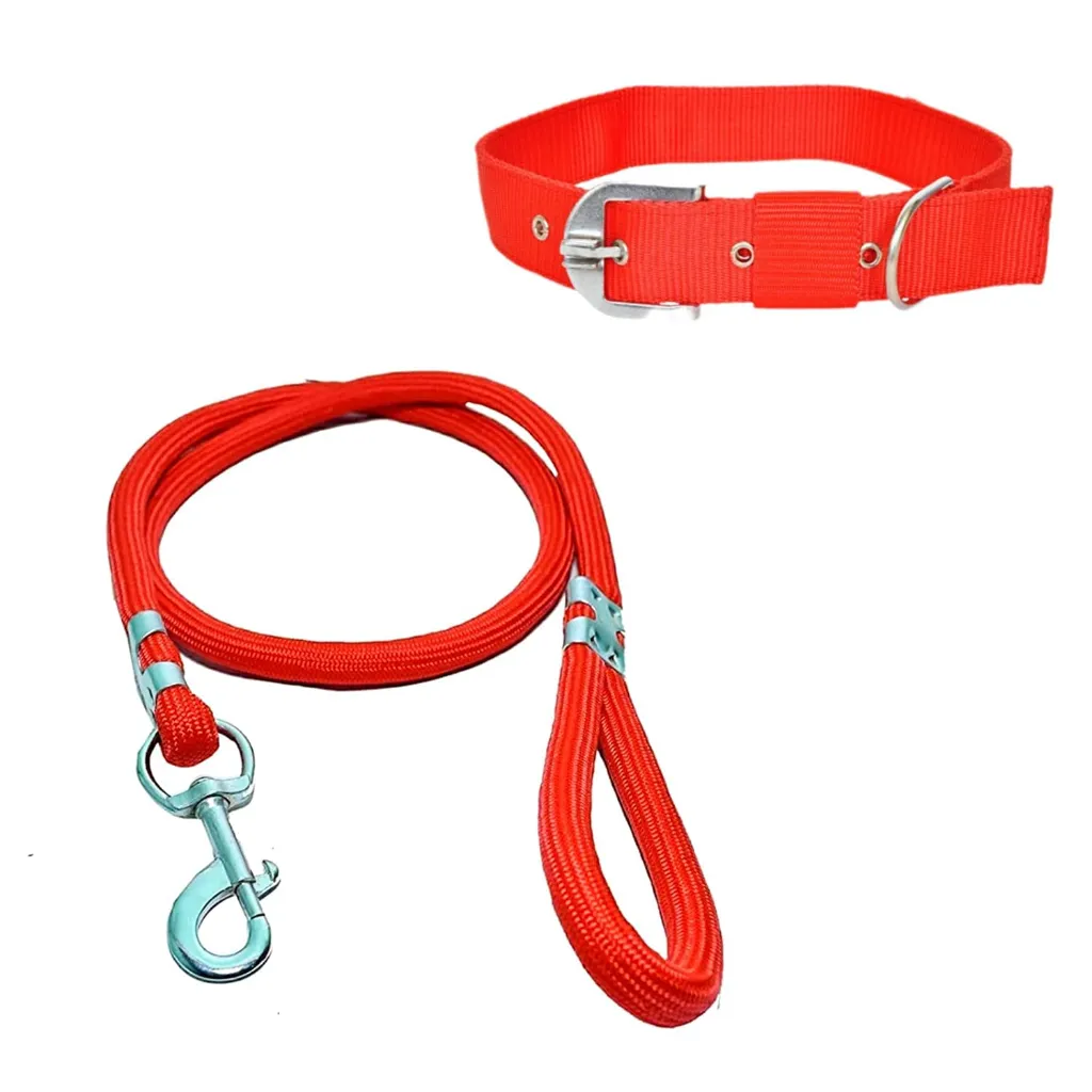 Cat Dog Neck Collar Belt and Rope.webp