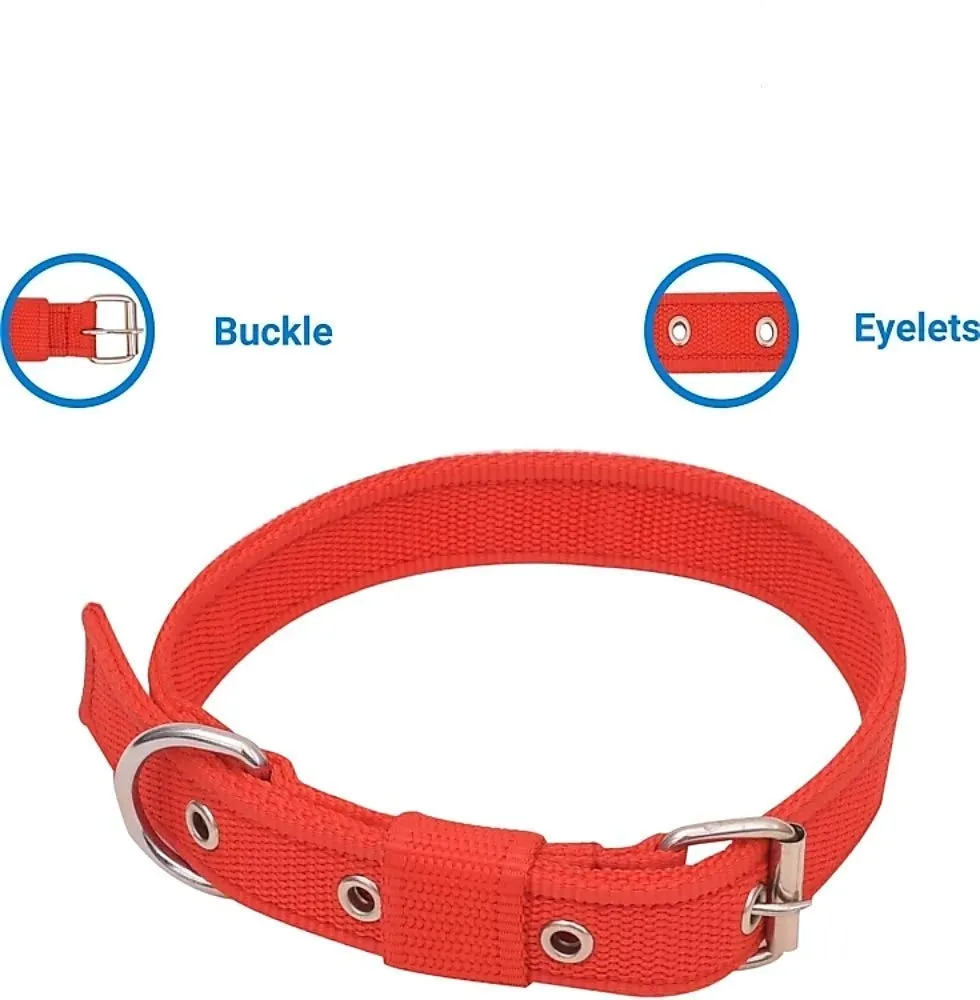 Cat Dog Neck Collar Belt and Rope2.webp