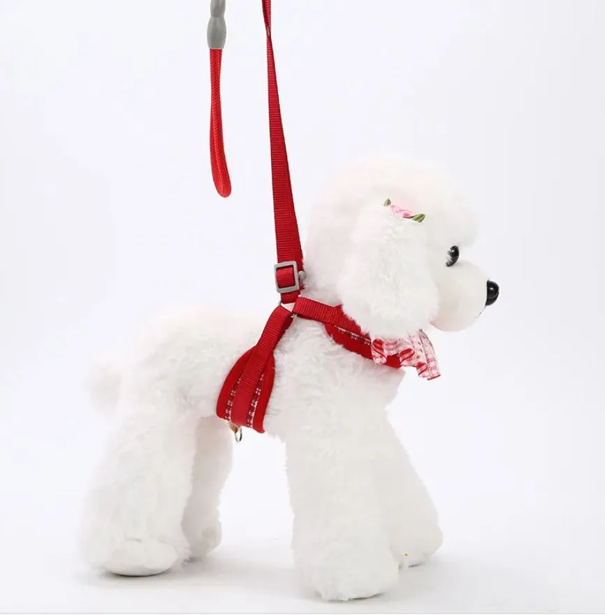 Floral Pattern Dog Harness with Matching Leash for Small-Medium Dogs and Cats2.webp