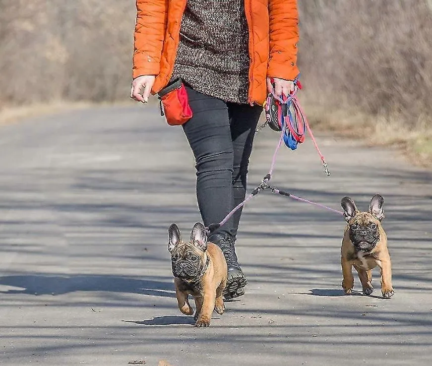 Double Dog Leash Nylon Double Leashes Detachable Pet4.webp