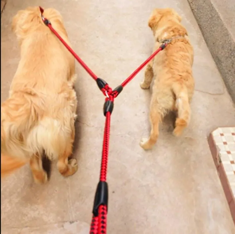 Double Dog Leash Nylon Double Leashes Detachable Pet3.webp