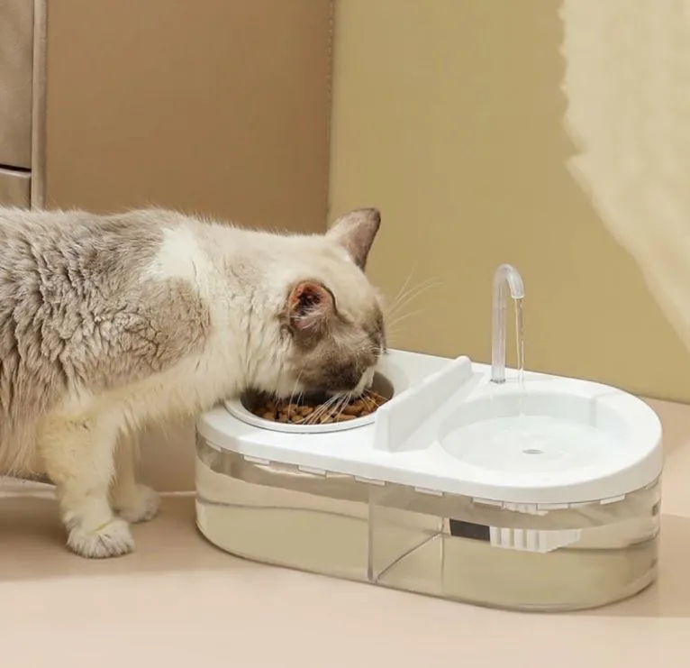 Pet Water Fountain With Stainless Steel Food Bowel2.webp