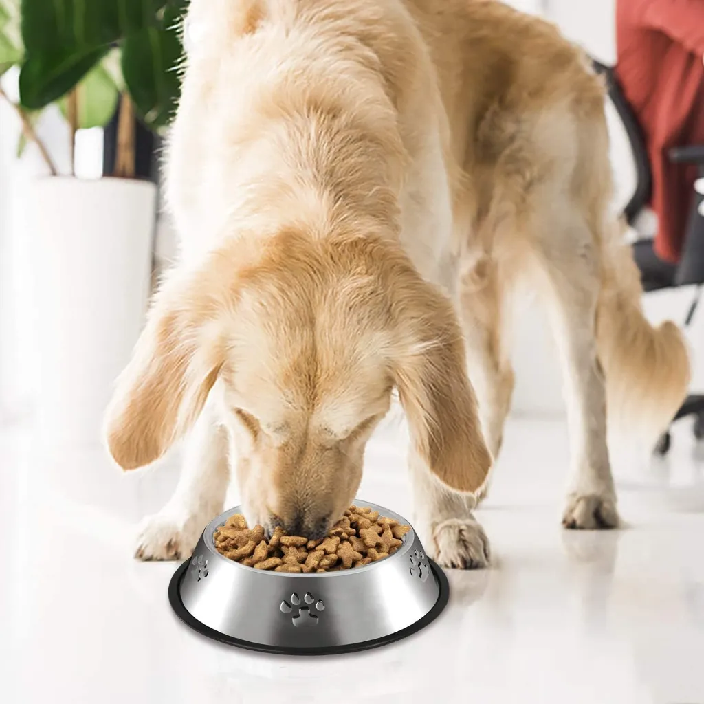 Stainless Steel Dog Bowls, Dog Feeding Dishes4.webp