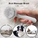 Generic Cat & Dog Grooming Brush, Slicker Brush With Massage Particles6.webp